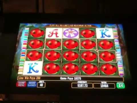 790% Bonus bez zasad! w kasynie High Roller