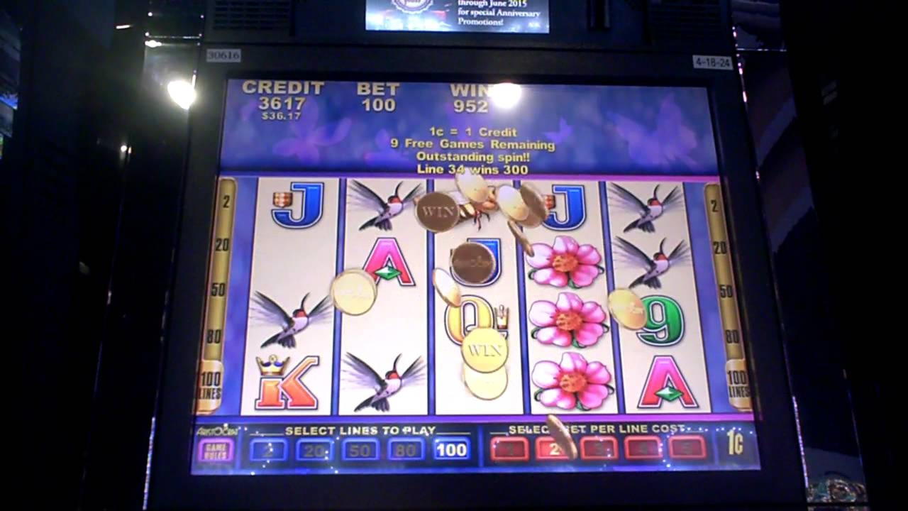 550% Bonus meczowy w kasynie YoYo